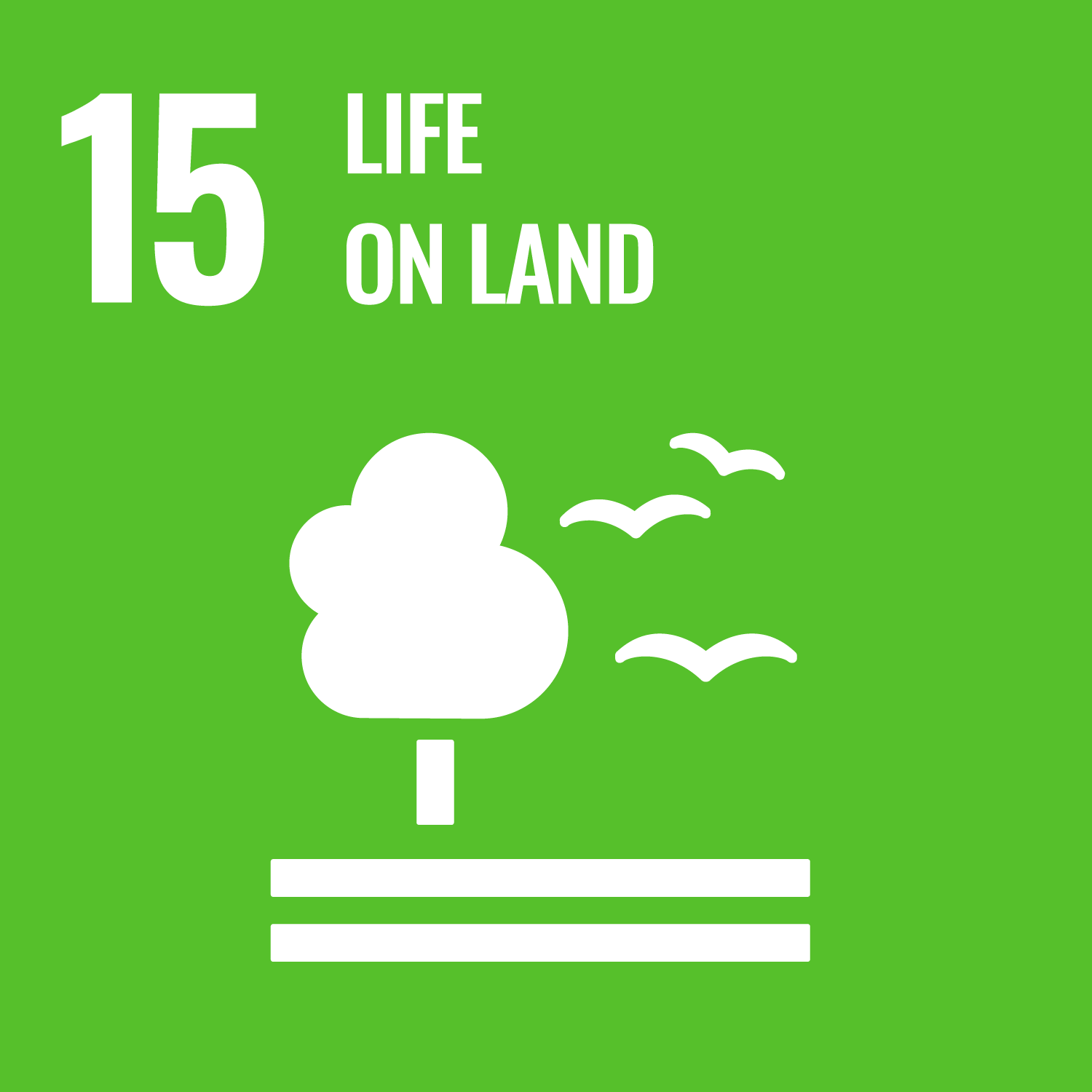 ~ 20 HECTARES OF LAND reforested in the project area as part of a dedicated programme to support a healthy and natural ecosystem