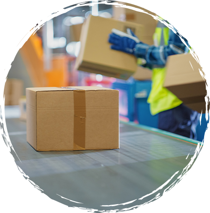 logistica-pacco pacco logistica